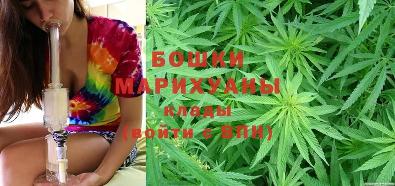 Шишки марихуана SATIVA & INDICA  как найти   Северск 